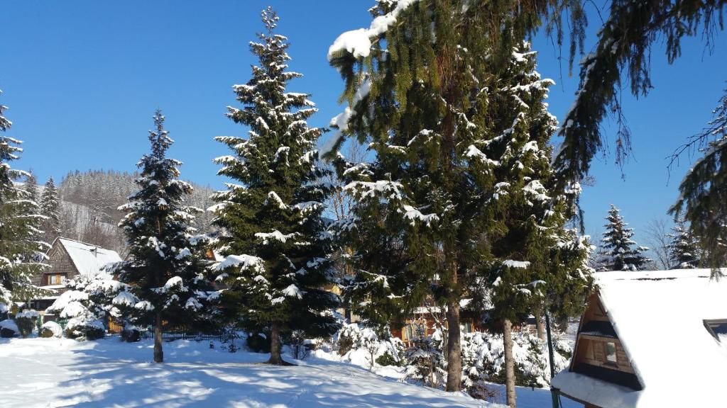 Проживание в семье Camping Harenda Pokoje Gościnne i Domki Закопане